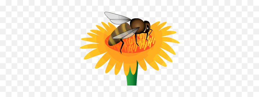 Bee Clipart Animated Gif - Animated Gif Honey Gif Emoji,Android Bee Emoji