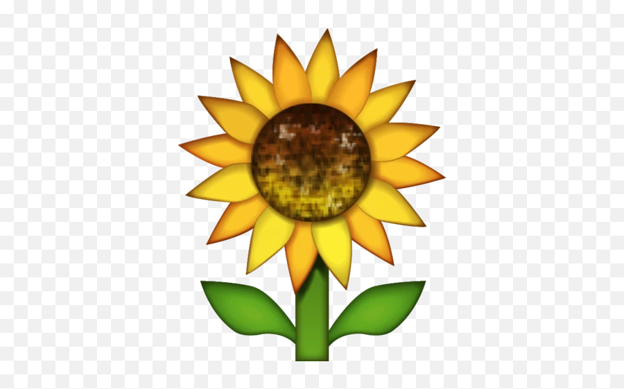Sunflower Emoji - Sunflower Emoji Png,Sun Emoji