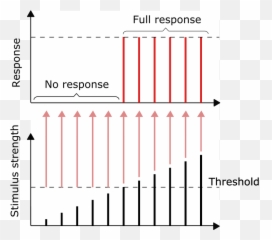 All - All Or None Response Emoji,Rectangle With X Inside Emoji