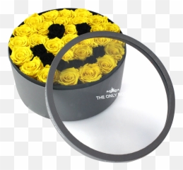 Rose Last A Year - Speaker Wire Emoji,Rope Emoji