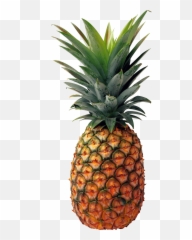 Free Pineapple Transparent Background Download Free Clip - Pineapple Png Emoji,Pineapple Emoji