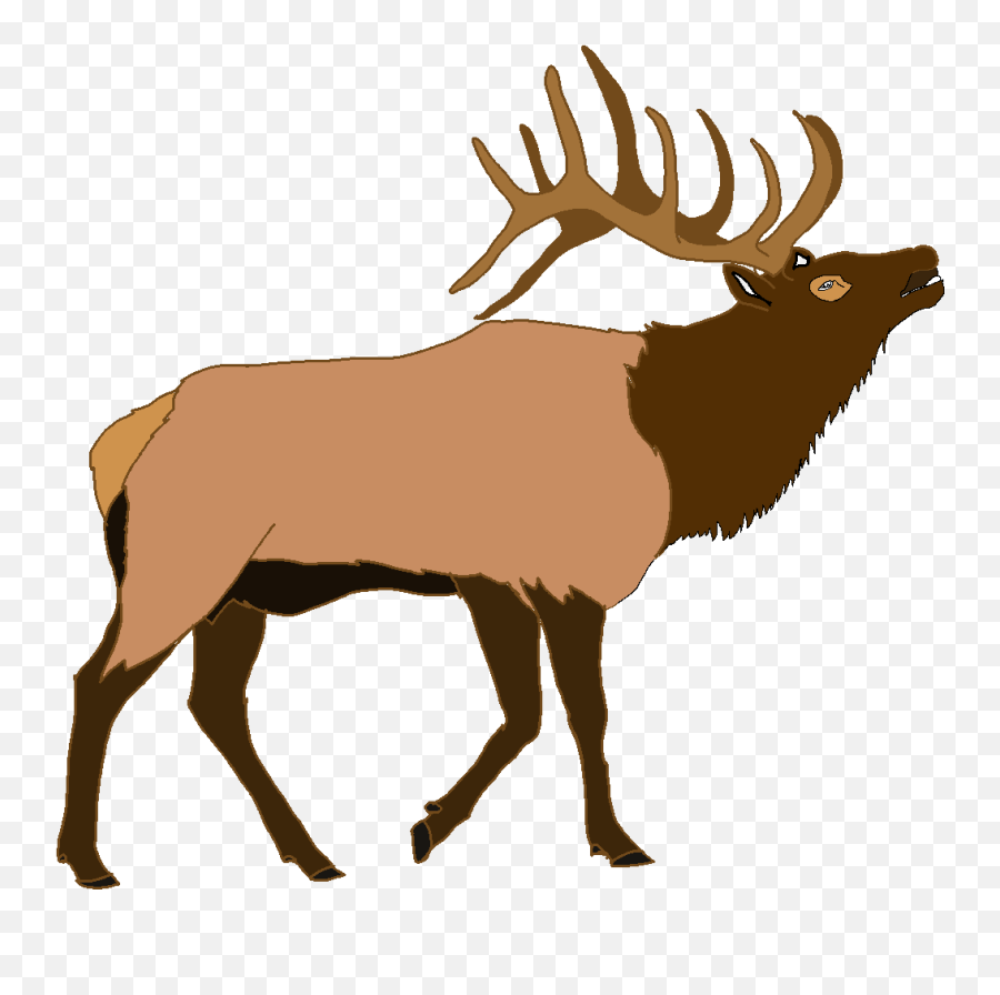 Elk Deer Illustration Vector Graphics - Transparent Elk Clipart Emoji,Antler Emoji