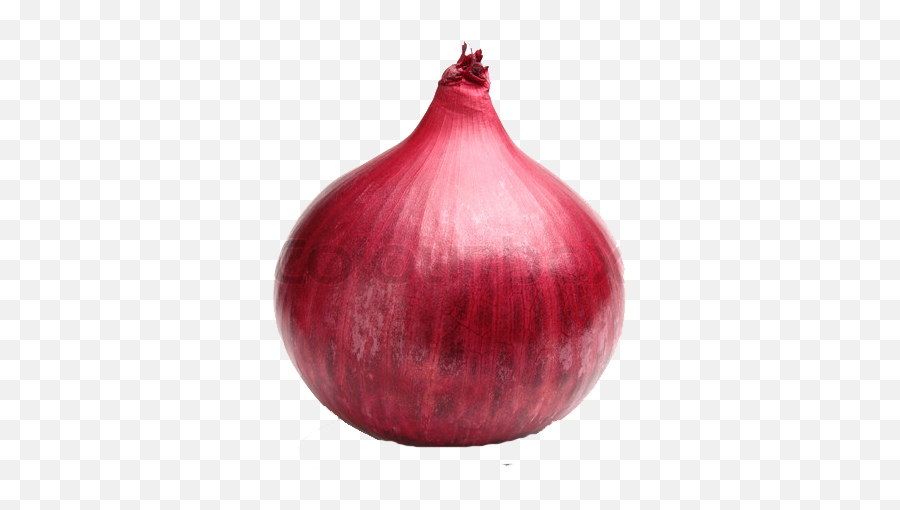 Download Free Png Red Onion Png File - Red Onion Png Emoji,Onion Emoji