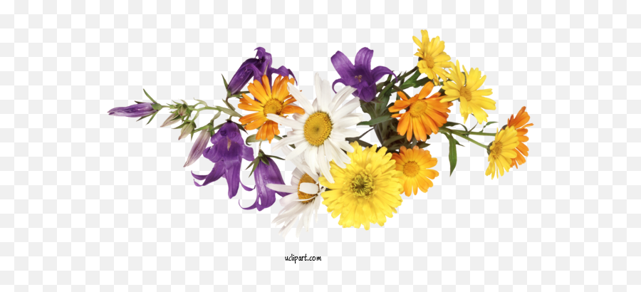 Flowers Gif Vítam Vás Recording For Flower Clipart - Flower Lovely Emoji,Lotus Flower Emoji