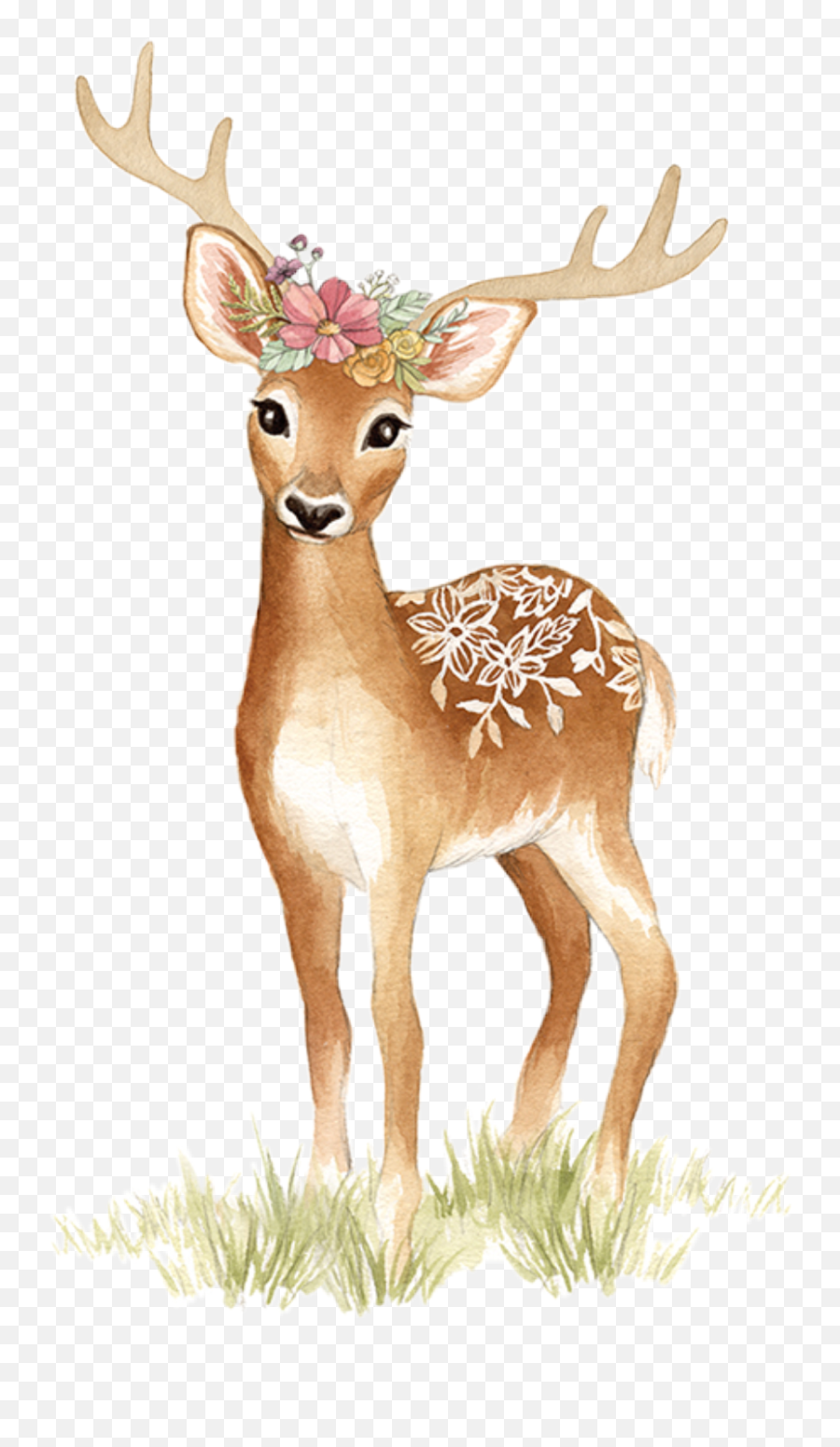 Watercolor Deer Doe Fawn Tattoo Sticker By Stephanie Emoji,Whitetail Deer Emoji