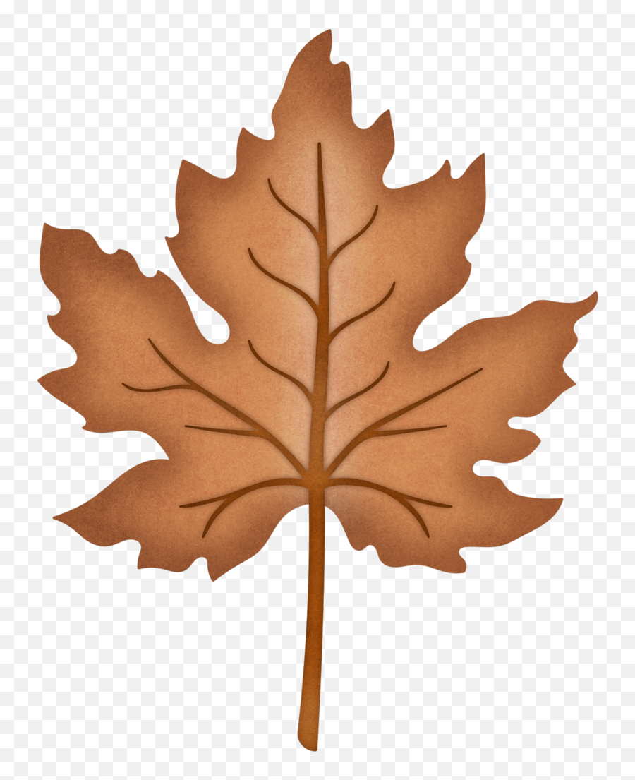 Photo From Album Harvest - Maple Leaf Emoji,Autumn Leaves Emoji