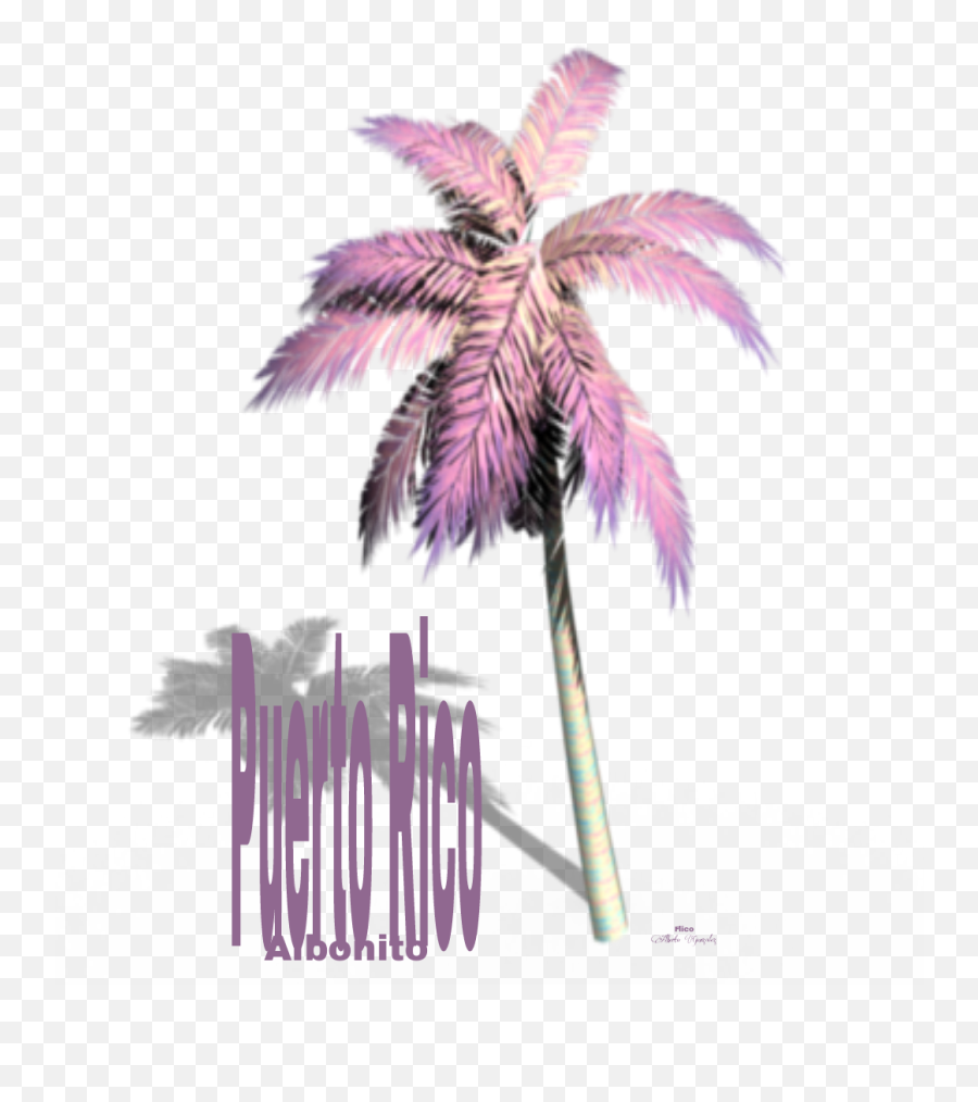 Puerto Rico - Sticker By Agphoto Vaporwave Palm Tree Transparent Emoji,Puerto Rican Emoji