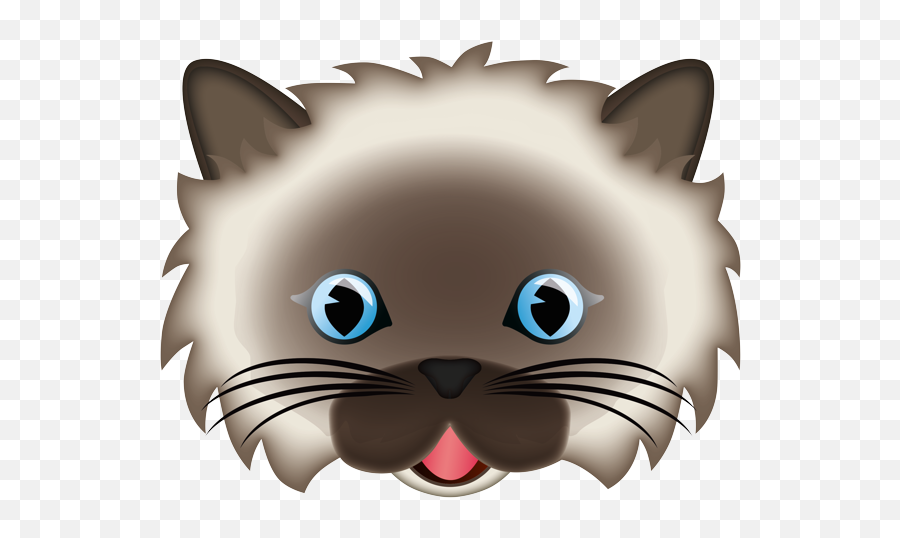 British Longhair Cat - Ragdoll Emoji,Long Hair Emoji