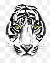 Animale Tiger Sumatra Tiger Tierwelt Tiger Tattoos Icons - Black And White Tiger Tattoo Drawing Emoji,Emoji Tiger Woods