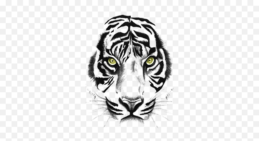 Animale Tiger Sumatra Tiger Tierwelt Tiger Tattoos Icons - Black And White Tiger Tattoo Drawing Emoji,Emoji Tiger Woods