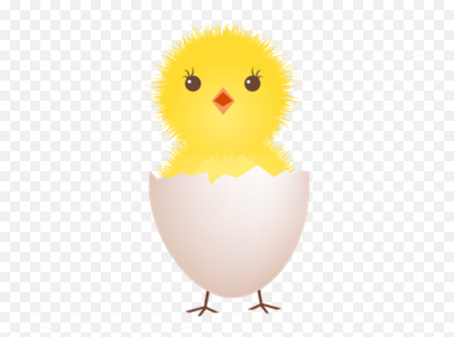 Chick Coming Out Of Egg Clipart - Chick In Egg Clipart Emoji,Baby Chick Emoji
