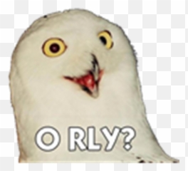 General Chit - O Really Owl Emoji,Wince Emoji