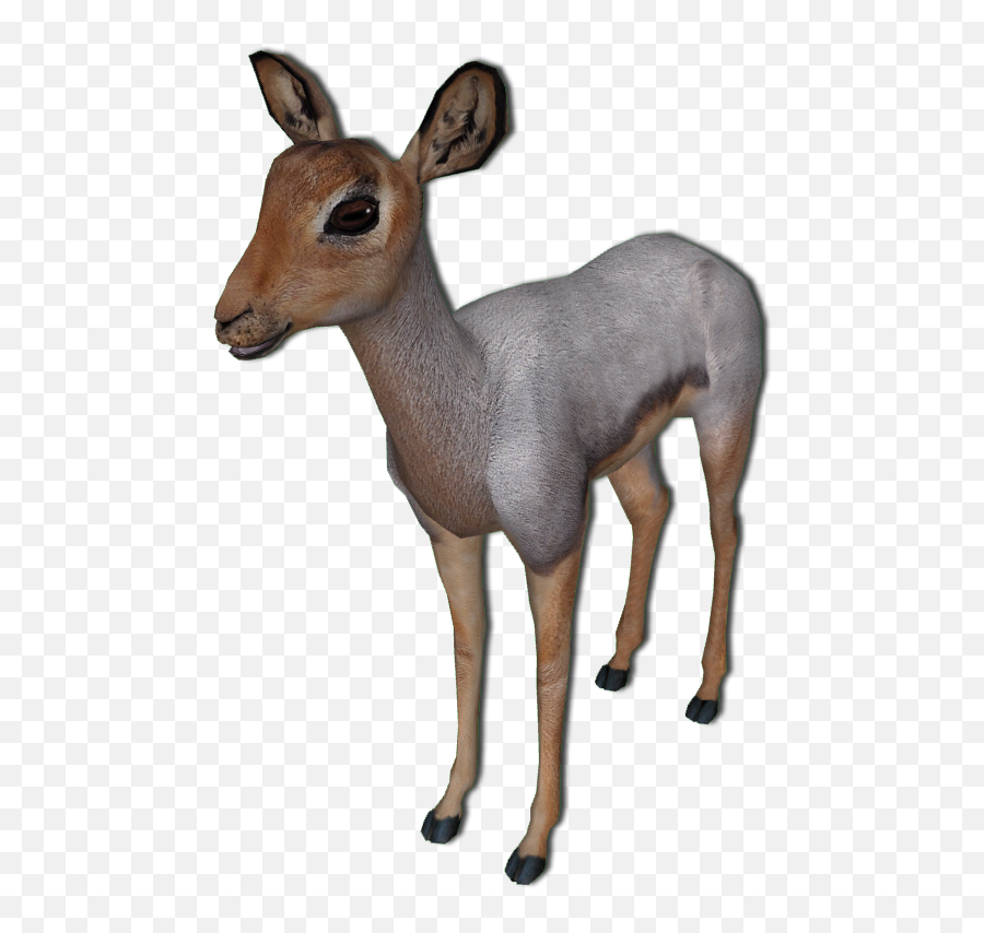White - Tailed Deer Antelope Beira Impala Musk Deer Deer Png Animal Figure Emoji,Whitetail Deer Emoji