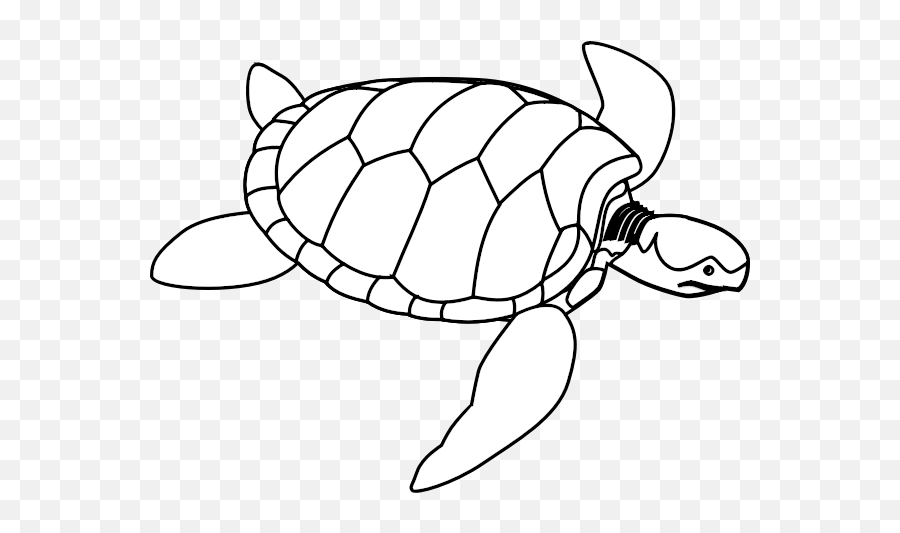 Green Sea Turtle Line Art - Turtle Clip Art Emoji,Turtle Emoticon