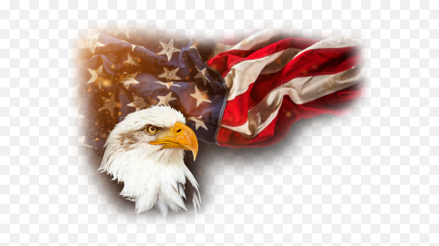 The Golden Rule Foundation - Patriotism American Patriotic Patriotic Emoji,Bald Eagle Emoji