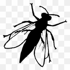 Silhouette Fly Insect Animal - Silueta Mosca Emoji