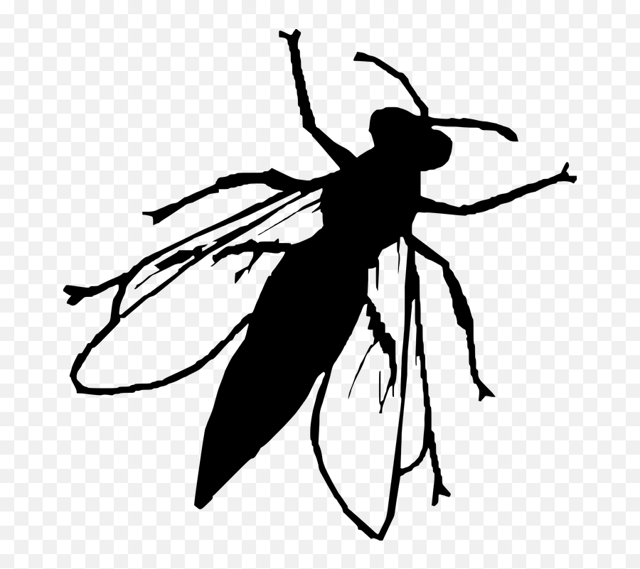 Silhouette Fly Insect Animal - Silueta Mosca Emoji,Emoji Phone Cases Iphone 6