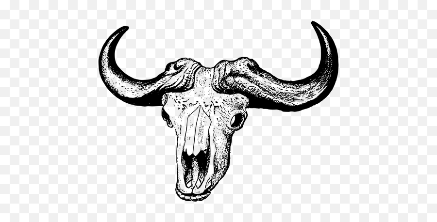 Buffalo Skull - African Buffalo Skull Drawing Emoji,Money Wings Emoji