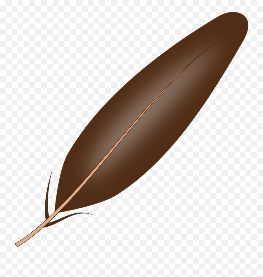 Turkey Feathers Clipart Free Download - Brown Feather Clipart Emoji,Is There A Feather Emoji