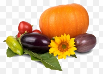 Thanksgiving Pumpkin Image Hq Png - Self Reliance Lds Welfare Quotes Emoji