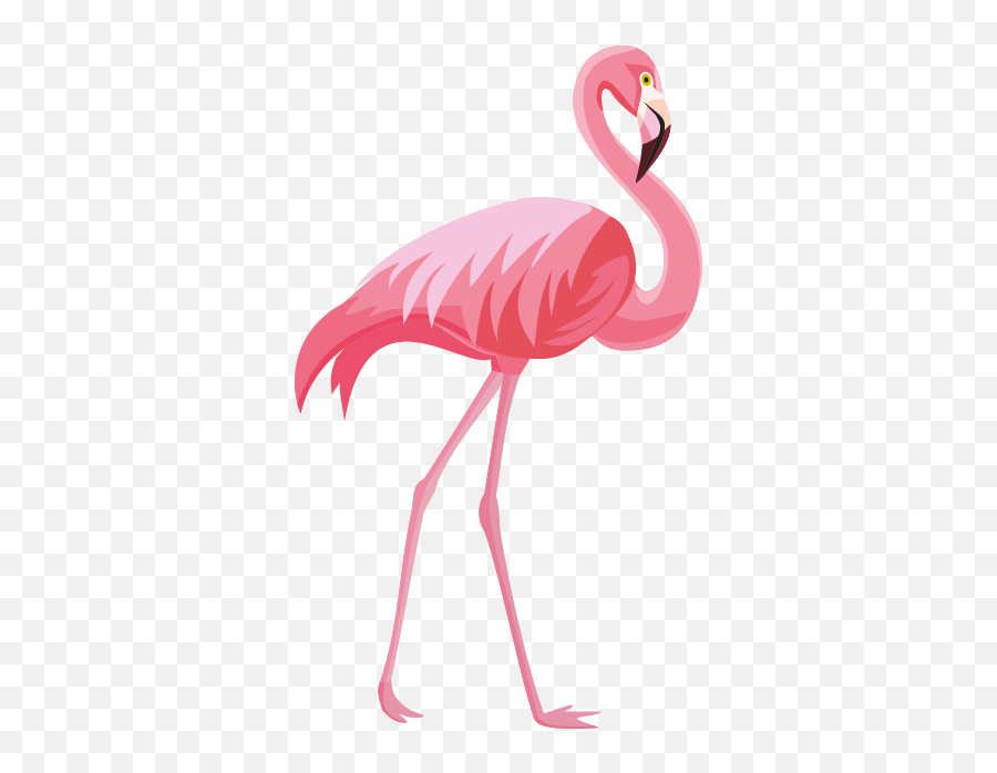 Flamingo Transparent Png Clipart Cute Flamingo Pink - Flamingo White Background Hd Emoji,Flamingo Emoji