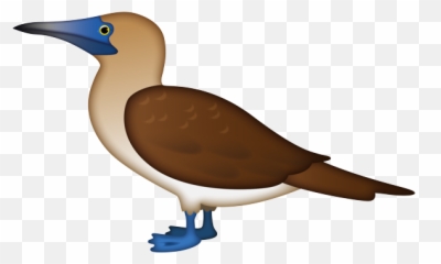 Blue Footed - Seabird Emoji,Blue Bird Emoji