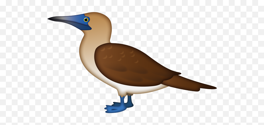 Blue Footed - Seabird Emoji,Blue Bird Emoji