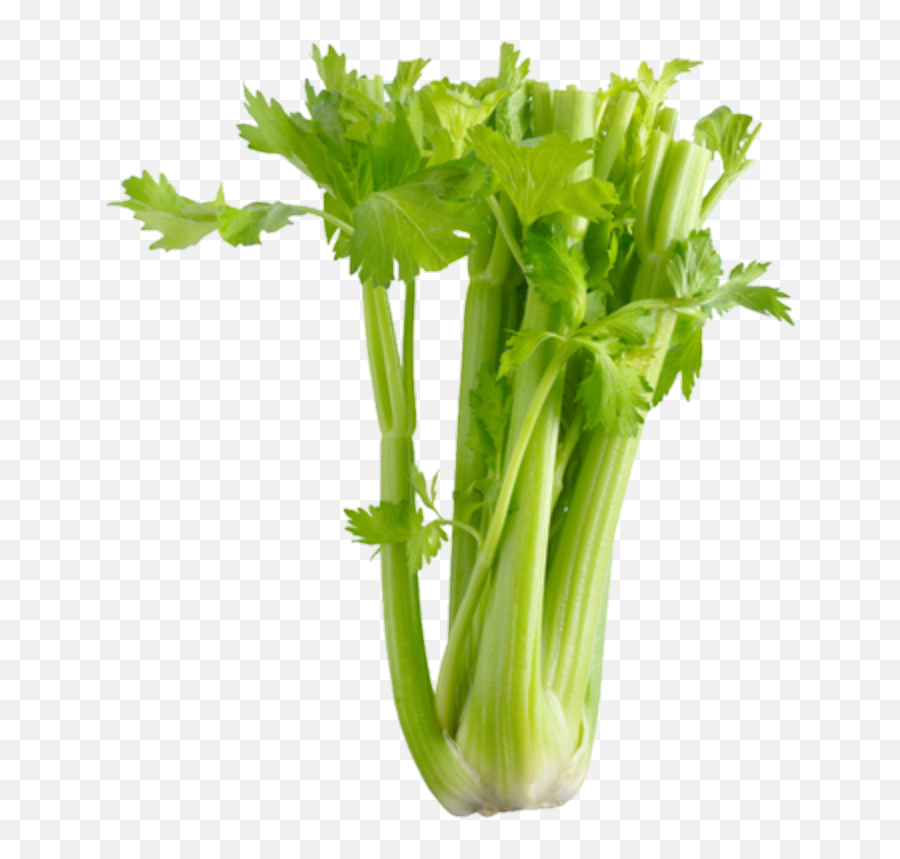 Remix Celery - Celery On White Emoji,Celery Emoji