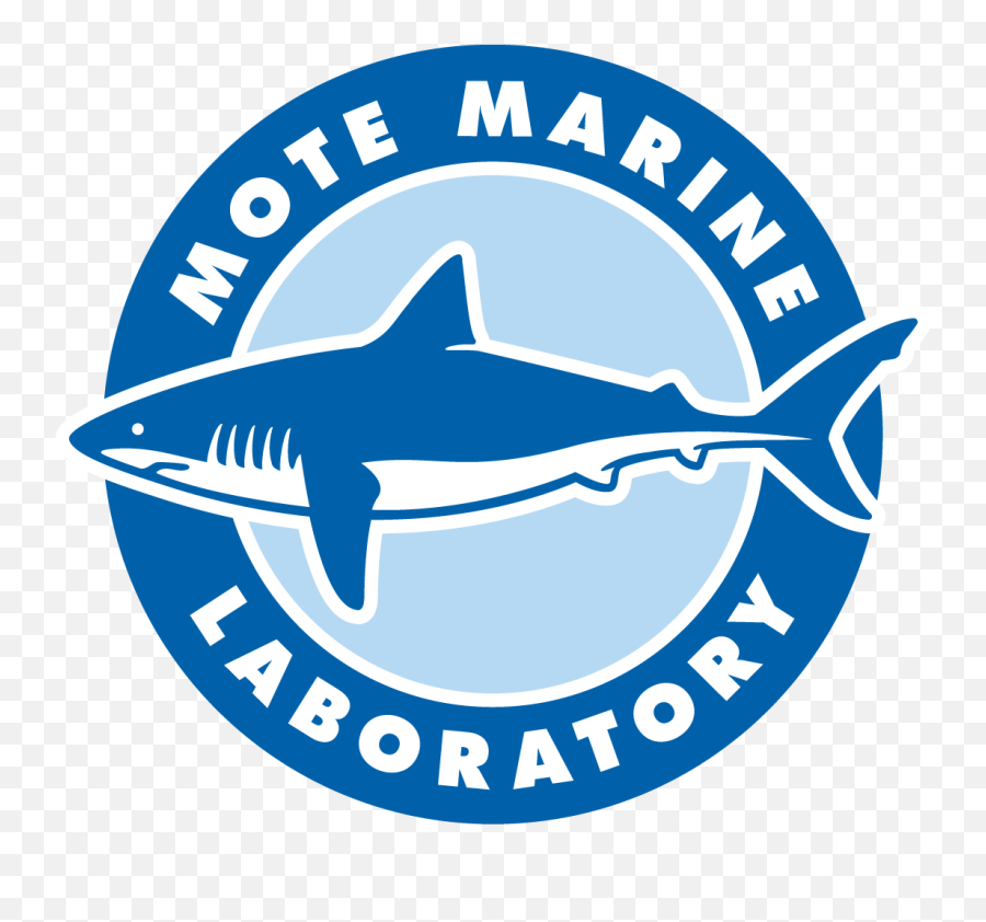 Center For Interactive Learning - Mote Marine Lab Emoji,Shark Emoji Text