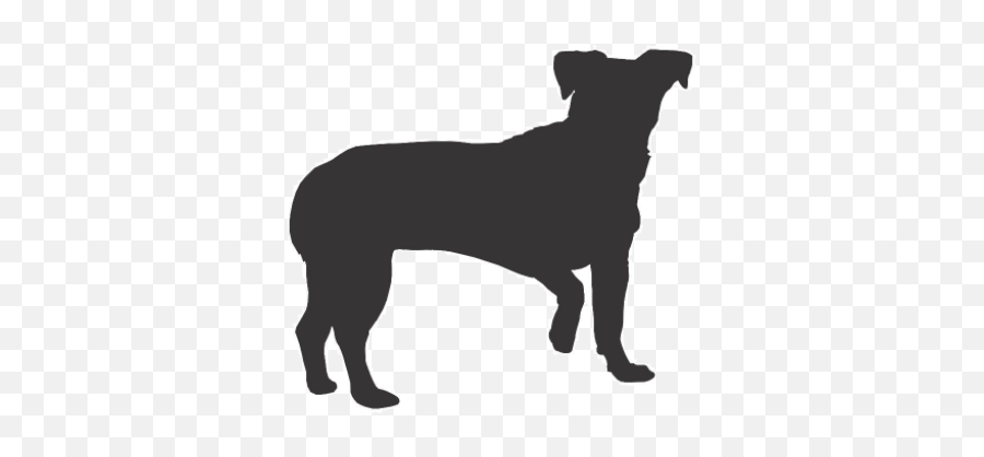 Download Iu0027m Sad - Floppy Dog Ear Silhouette Png Image With Chiweenie Clipart Emoji,Sad Dog Emoji