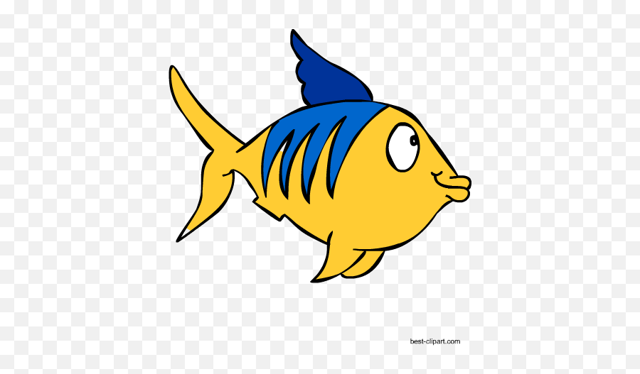 Free Marine Animals Ocean Animals Or Under Water Animals - Clipart Black And White Animals Over Emoji,Fish And Horse Emoji