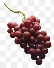 Download Free Grape Png Image Icon Favicon - Grapes Emoji