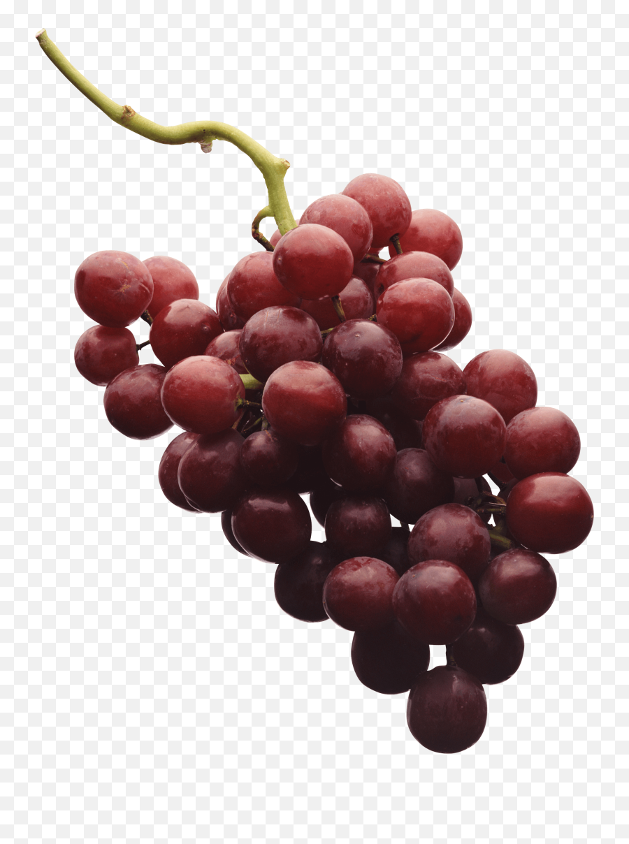 Download Free Grape Png Image Icon Favicon - Grapes Png Emoji,Grapes Emoji