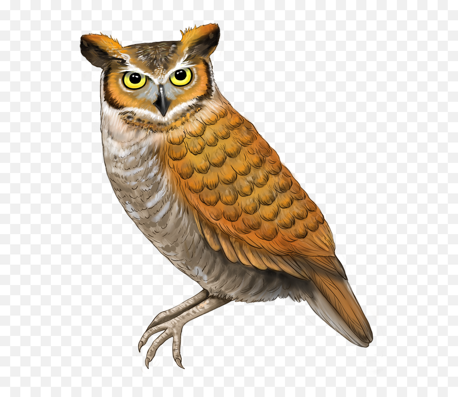Owl Flirtyqwerty - Owl Emoji,Chameleon Emoji
