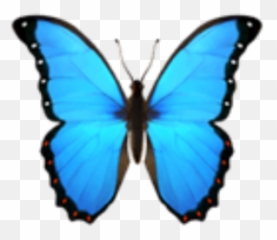 Clipart Butterfly Cupcake Clipart Butterfly Cupcake Butterflies Emoji Butterfly Emoji Iphone Free Transparent Emoji Emojipng Com - blue butterfly outfit roblox