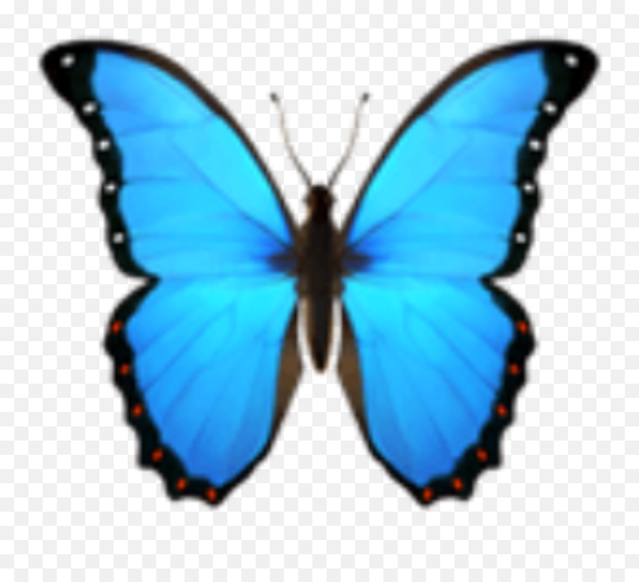 Emoji Blue Butterflys Iphone Imoji - Blue Butterfly Emoji Png,Butterfly Emoji Iphone