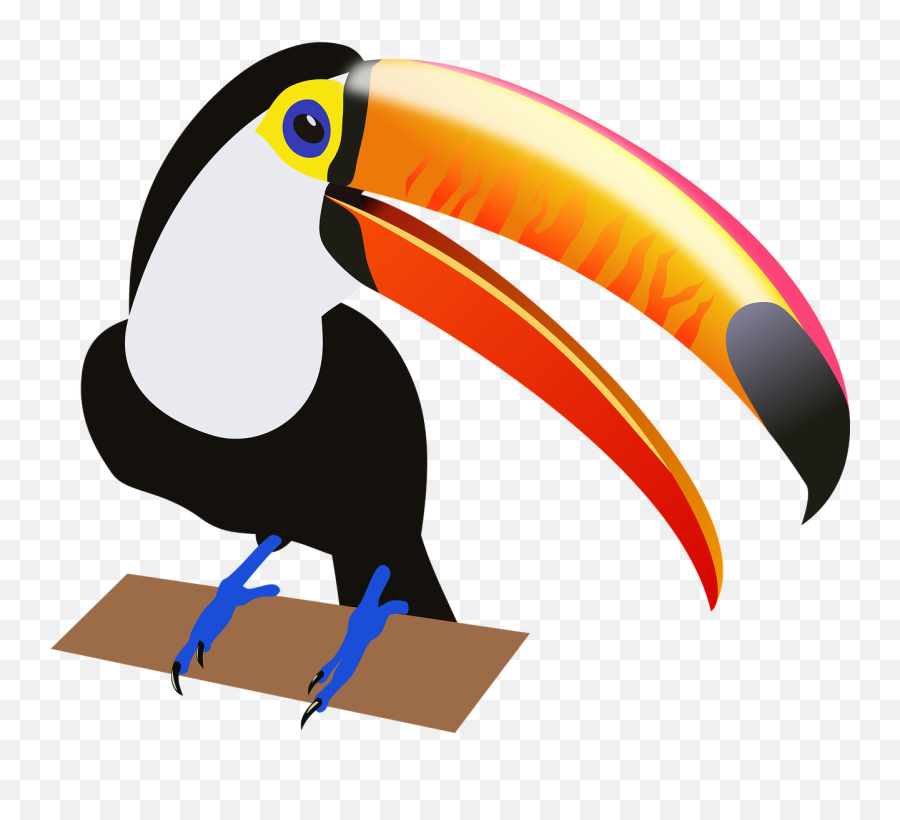 Bird Exotic Print Toucan Tropical - Toucan Clip Art Emoji,Wedding Anniversary Emoji