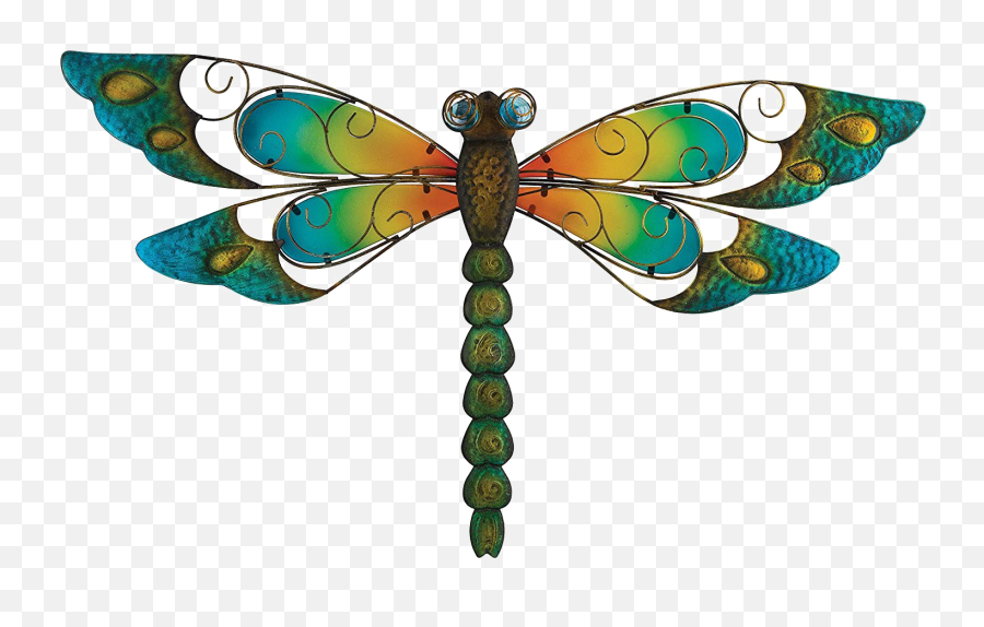 Dragonfly Png Image - Dragonfly Art Emoji,Dragonfly Emoji