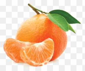 Free PNG Images u0026 Vectors Graphics PSD Files - DLPNGcom Mandarin Orange Png Emoji