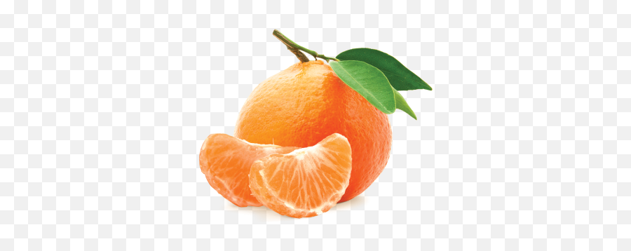 Free Png Images U0026 Free Vectors Graphics Psd Files - Dlpngcom Mandarin Orange Png Emoji,Tangerine Emoji