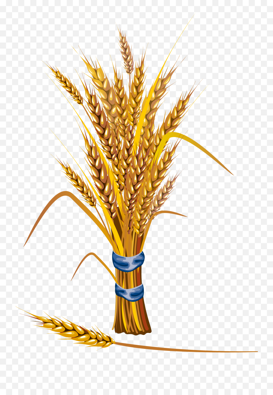 Symbol Of A Desta Wheat - Wheat Icon Emoji,Wheat Emoji