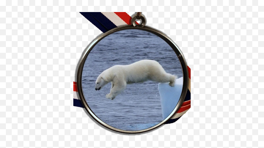 Polar Bear Plunge Logo Medal - Corn Dog Emoji,Silver Medal Emoji