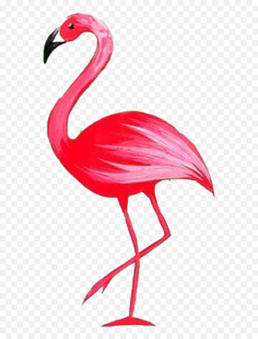 Flamingostickerremix Flamingo Flamenco - Greater Flamingo Emoji,Flamingo Emoji