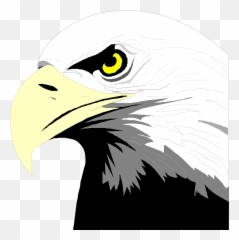 Eagle Bird Bald American Nature - Clipart Eagle Head Png Emoji,Egypt Flag Emoji