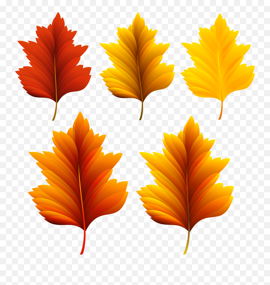 Clipart Fall Pretty Fall Transparent Emoji,Autumn Leaves Emoji