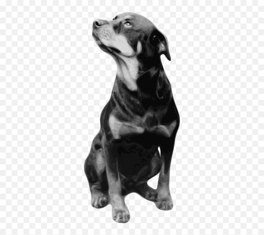 Dog Pet Rottweiler - Clker Sitting Rottweiler Emoji,Barking Dog Emoji