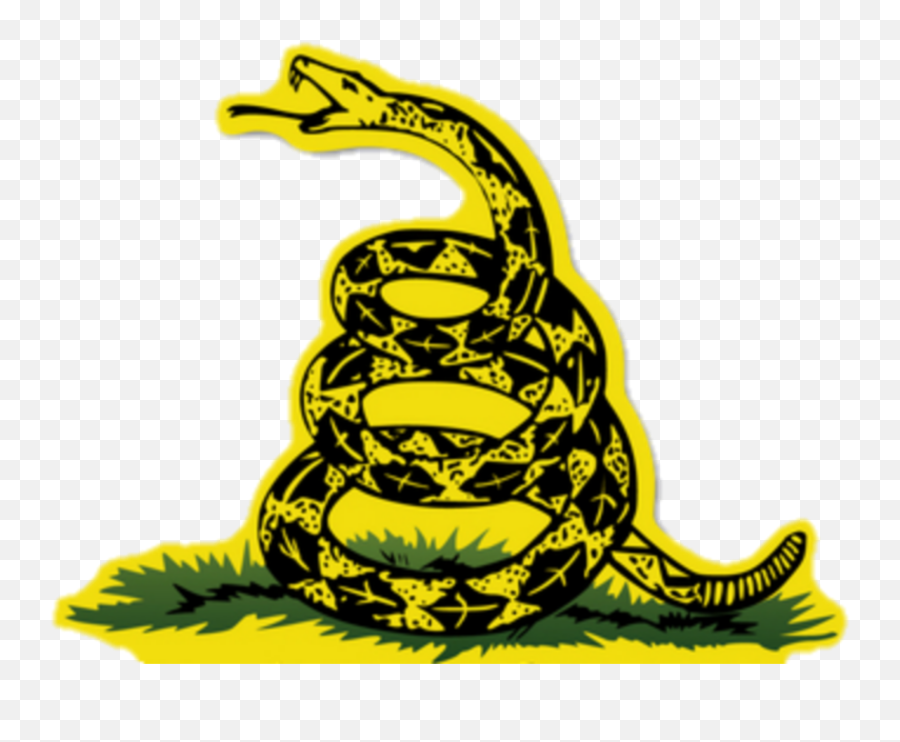 Don t tread. Либертарианский змей. Анкап змея. Символ либертарианства. Don t Tread on me змея.