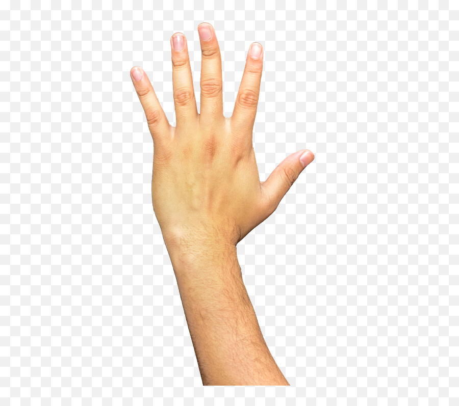 Hands Fingers Arm - Braço Png Emoji,Hand Emoticons Meaning