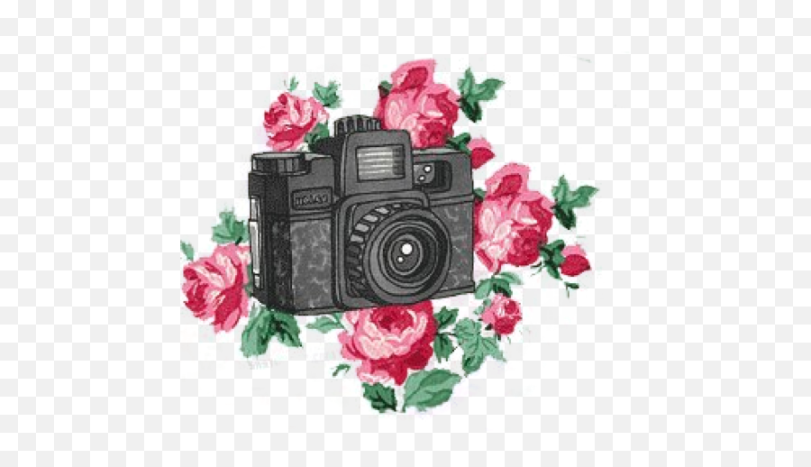 Ftestickers Flowers Camera Freetoedit - Camera With Flower Png Emoji,Family Camera Emoji
