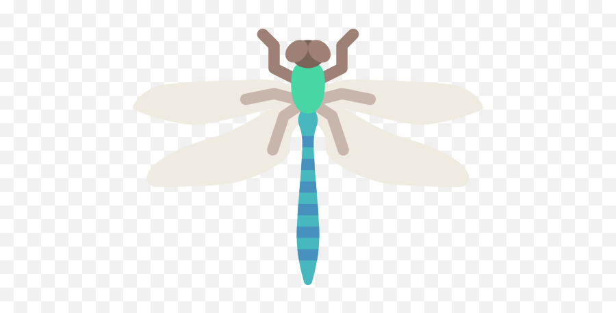 Dragonfly Png Icon - Insects Emoji,Dragonfly Emoji